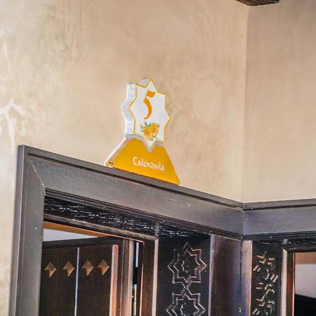 Hotel La Esperanza Alcalá del Valle Zewnętrze zdjęcie